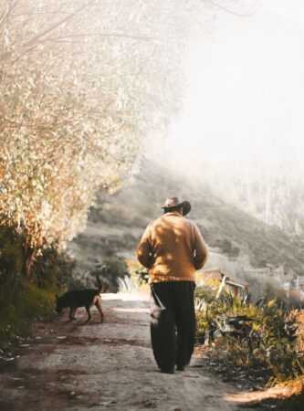 hans-luiggi-1054182-unsplash
