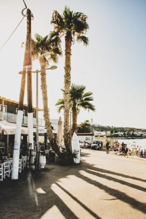 viktor-theo-754966-unsplash