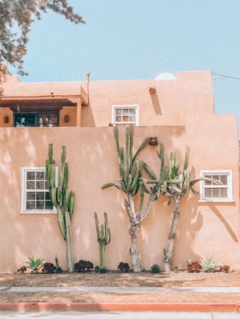 viviana-rishe-1063749-unsplash