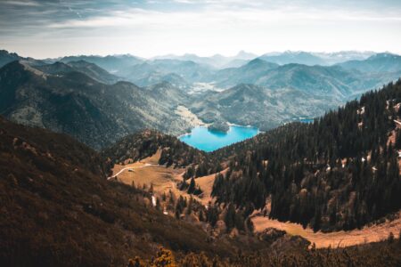 chris-holgersson-249309